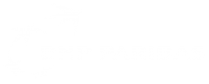 bnp-paribas-logo-wallpaper